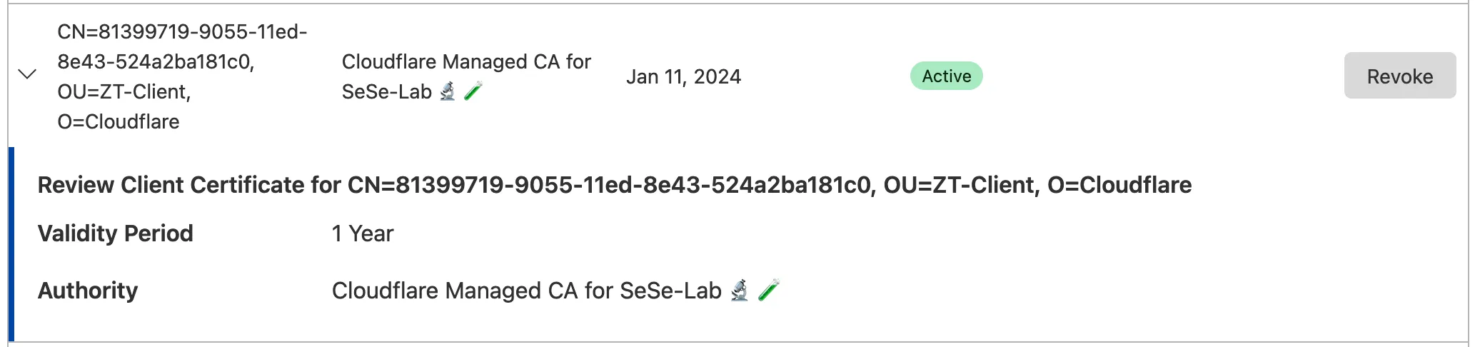 Example client certificate in the Cloudflare dashboard